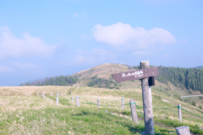 162A0604-Edit-1-5.jpg