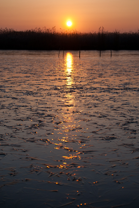 DSC00396-Edit-1-5.jpg