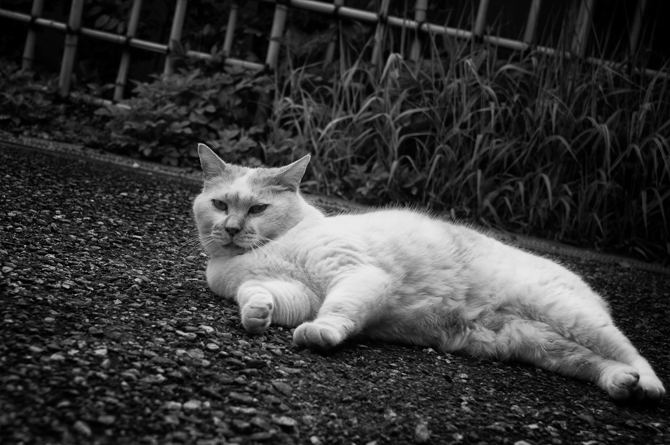 DSC02054-Edit-1.jpg