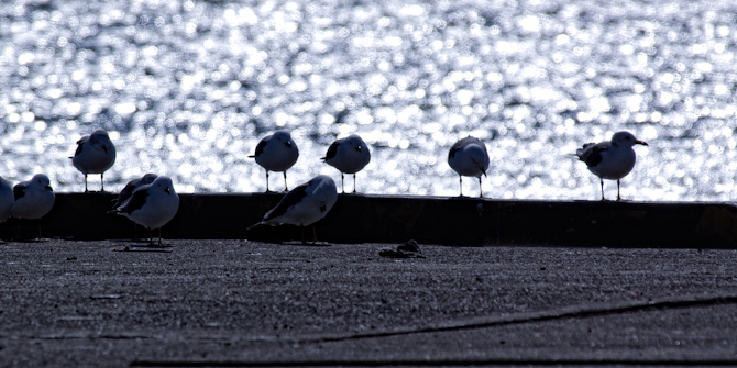 DSC06881-Edit-1-5.jpg