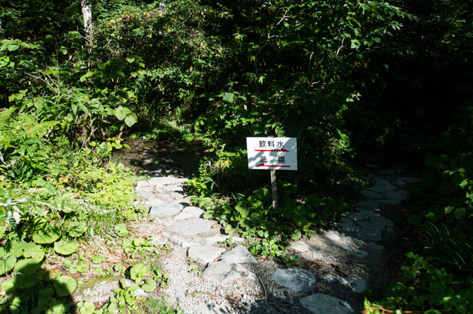 DSC07095-1.jpg