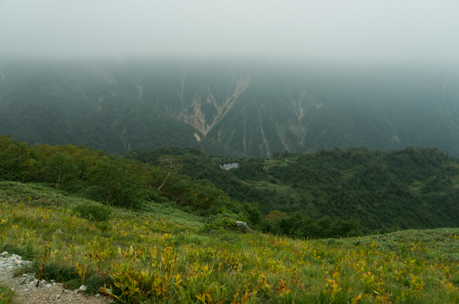 DSC07181-1.jpg