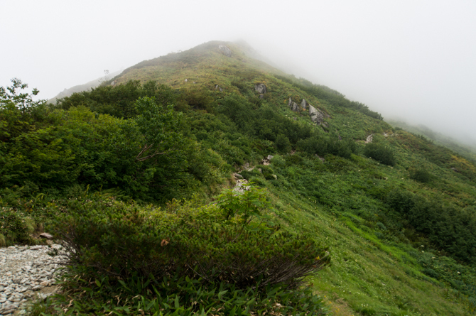 DSC07186-1.jpg
