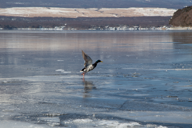 IMG_1362-1-6.jpg