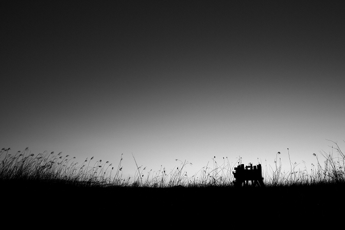 IMG_1883-Edit-Edit-1s.jpg